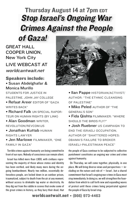 Flier for Gaza webcast